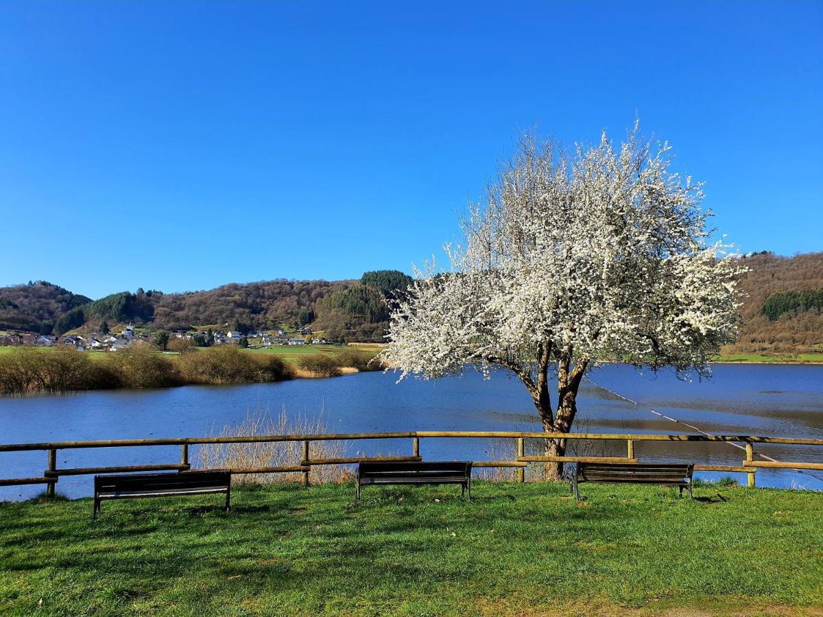 River Mosel Holiday Homes, Meerfeld Studio With A Lake View Luaran gambar