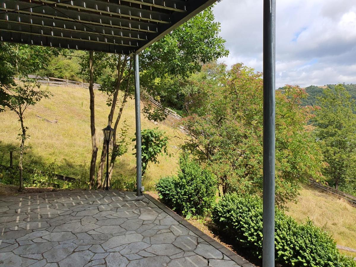 River Mosel Holiday Homes, Meerfeld Studio With A Lake View Luaran gambar