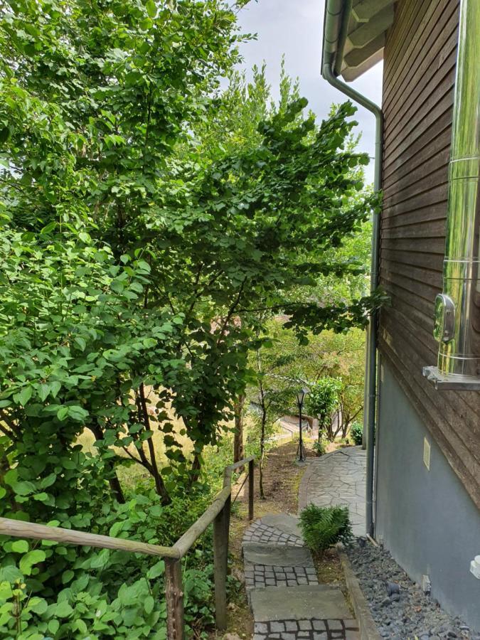 River Mosel Holiday Homes, Meerfeld Studio With A Lake View Luaran gambar