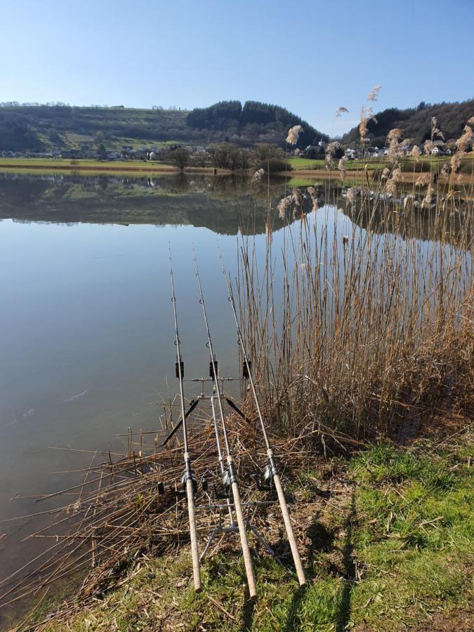 River Mosel Holiday Homes, Meerfeld Studio With A Lake View Luaran gambar