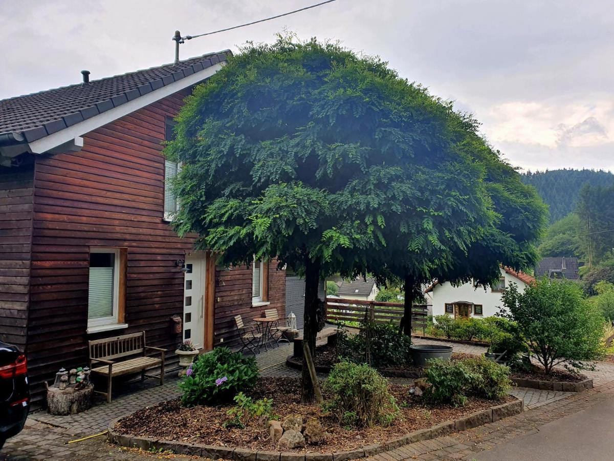 River Mosel Holiday Homes, Meerfeld Studio With A Lake View Luaran gambar