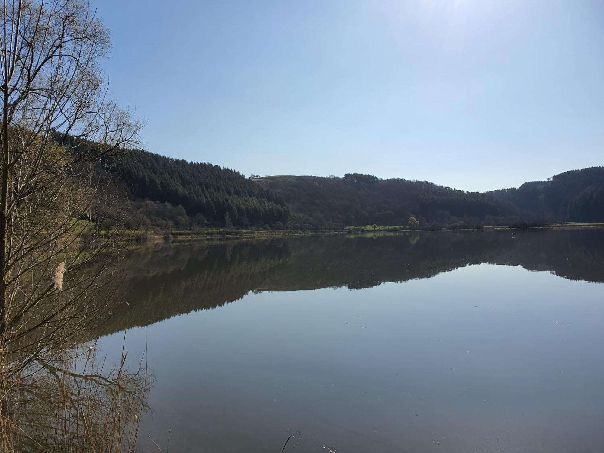 River Mosel Holiday Homes, Meerfeld Studio With A Lake View Luaran gambar