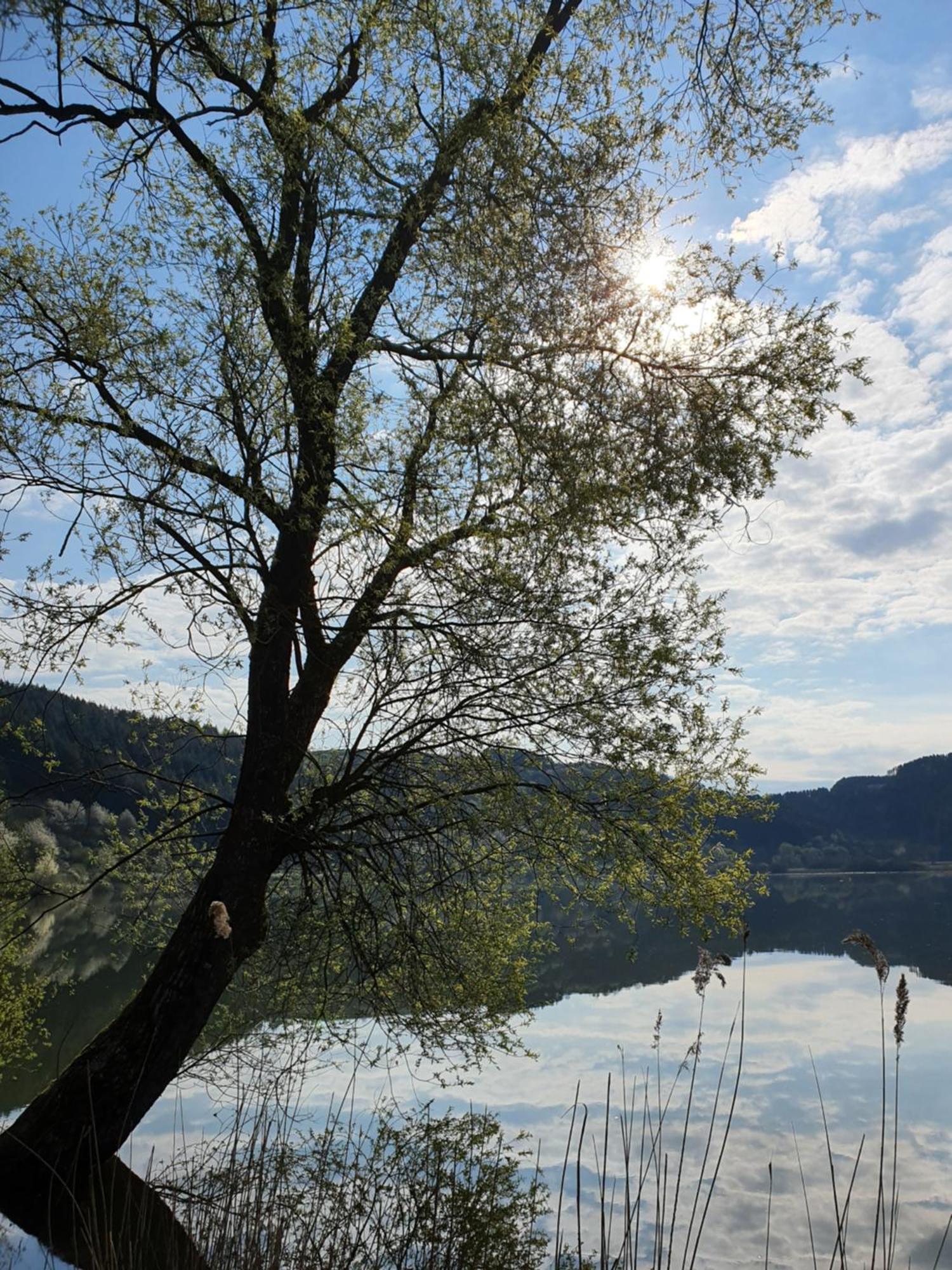 River Mosel Holiday Homes, Meerfeld Studio With A Lake View Luaran gambar